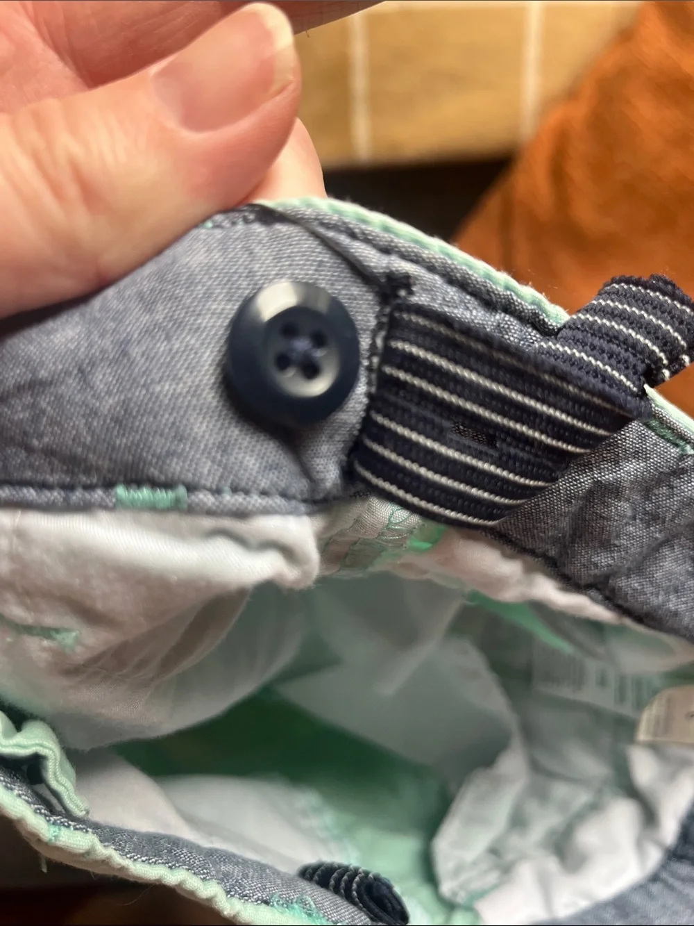 OshKosh Bgosh mint shorts